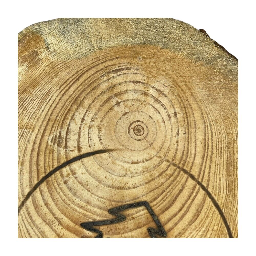 Canisteo Living Sign Tree Ring Cutting Planted 1933 Replanted 2016 5x7 - Picture 5 of 6